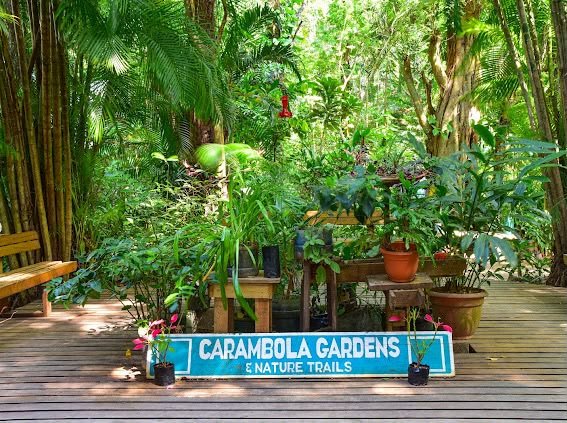 Paquete Carambola Gardens Tour Roatán | Tropical Gardens, Nature & Island View